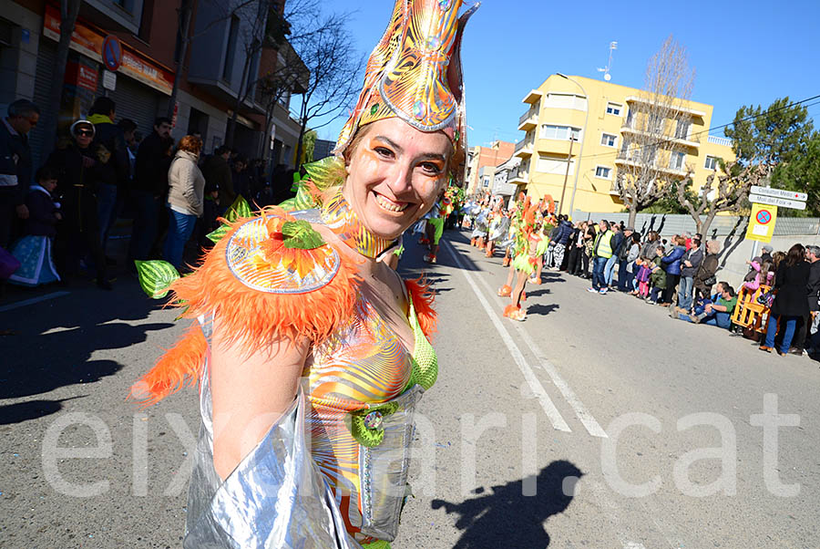 Carnaval de Santa Margarida i els Monjos 2016. Rua del Carnaval de Santa Margarida i els Monjos 2016