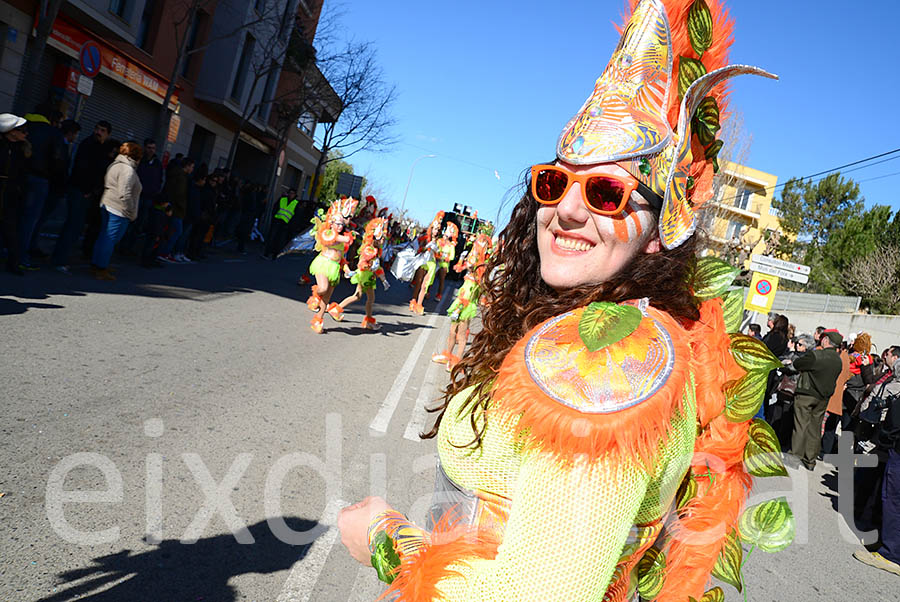 Carnaval de Santa Margarida i els Monjos 2016. Rua del Carnaval de Santa Margarida i els Monjos 2016