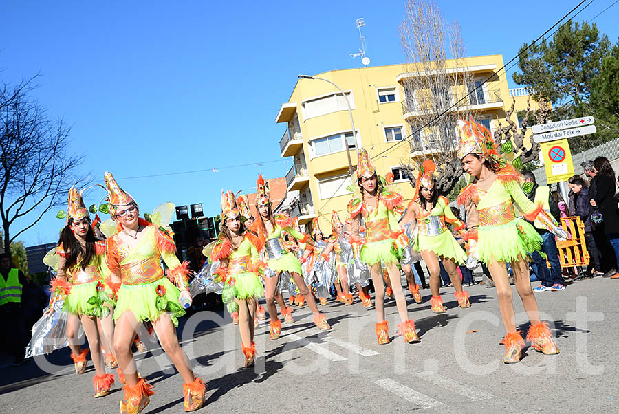 Carnaval de Santa Margarida i els Monjos 2016. Rua del Carnaval de Santa Margarida i els Monjos 2016