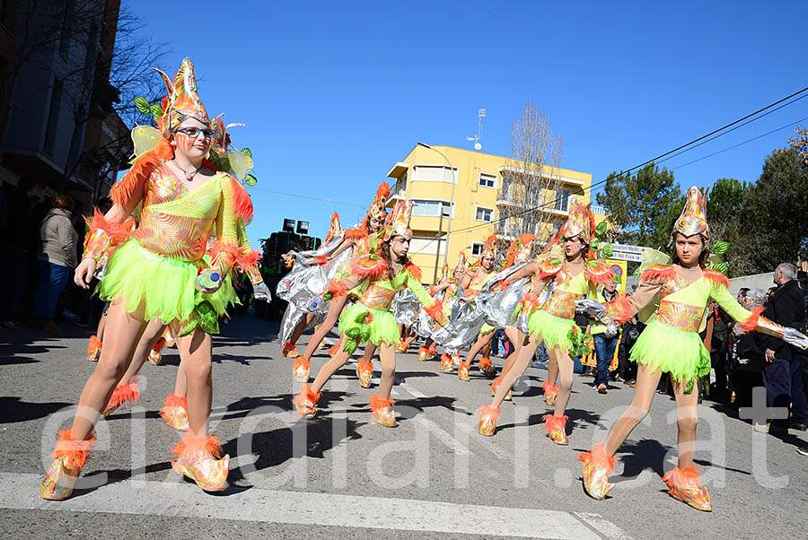 Carnaval de Santa Margarida i els Monjos 2016. Rua del Carnaval de Santa Margarida i els Monjos 2016