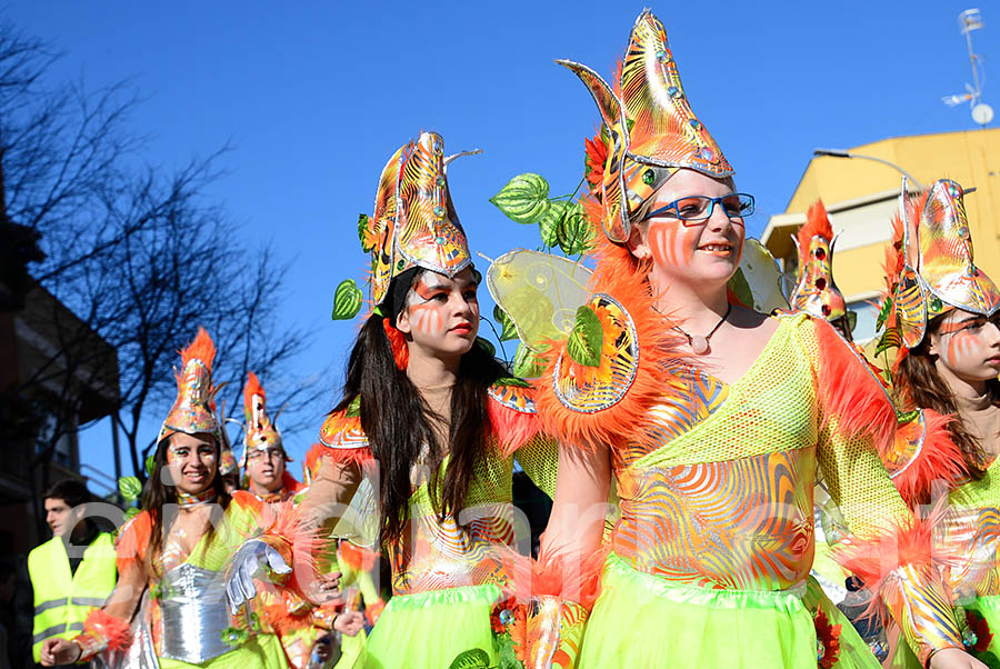 Carnaval de Santa Margarida i els Monjos 2016. Rua del Carnaval de Santa Margarida i els Monjos 2016