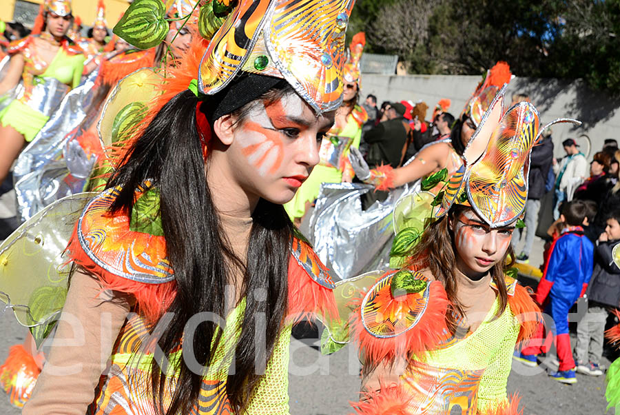 Carnaval de Santa Margarida i els Monjos 2016. Rua del Carnaval de Santa Margarida i els Monjos 2016