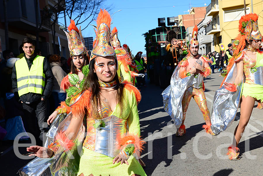 Carnaval de Santa Margarida i els Monjos 2016. Rua del Carnaval de Santa Margarida i els Monjos 2016