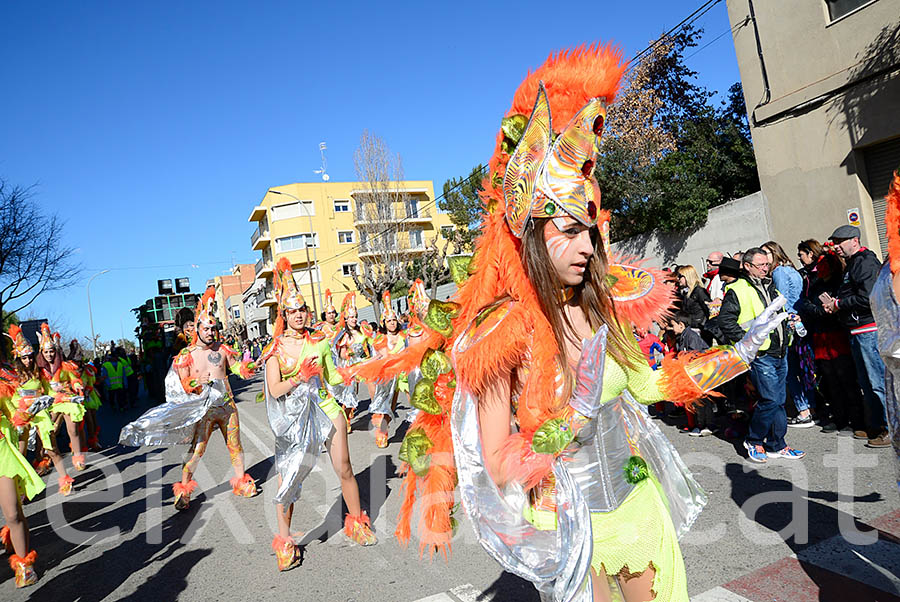 Carnaval de Santa Margarida i els Monjos 2016. Rua del Carnaval de Santa Margarida i els Monjos 2016