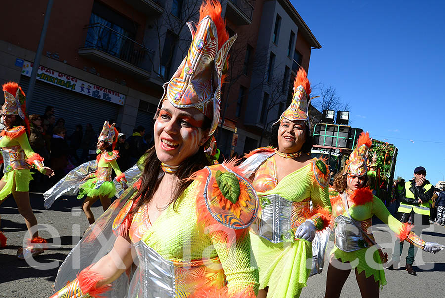 Carnaval de Santa Margarida i els Monjos 2016. Rua del Carnaval de Santa Margarida i els Monjos 2016