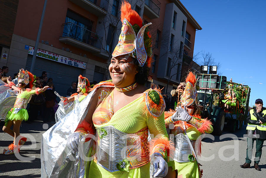 Carnaval de Santa Margarida i els Monjos 2016. Rua del Carnaval de Santa Margarida i els Monjos 2016