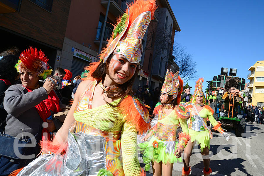 Carnaval de Santa Margarida i els Monjos 2016. Rua del Carnaval de Santa Margarida i els Monjos 2016