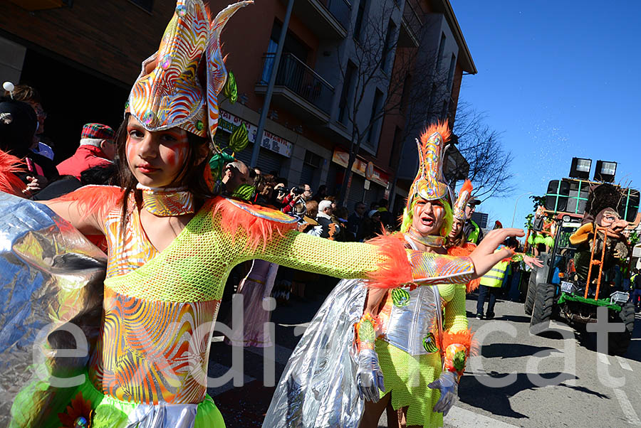 Carnaval de Santa Margarida i els Monjos 2016. Rua del Carnaval de Santa Margarida i els Monjos 2016