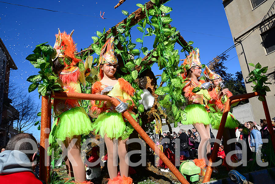 Carnaval de Santa Margarida i els Monjos 2016. Rua del Carnaval de Santa Margarida i els Monjos 2016