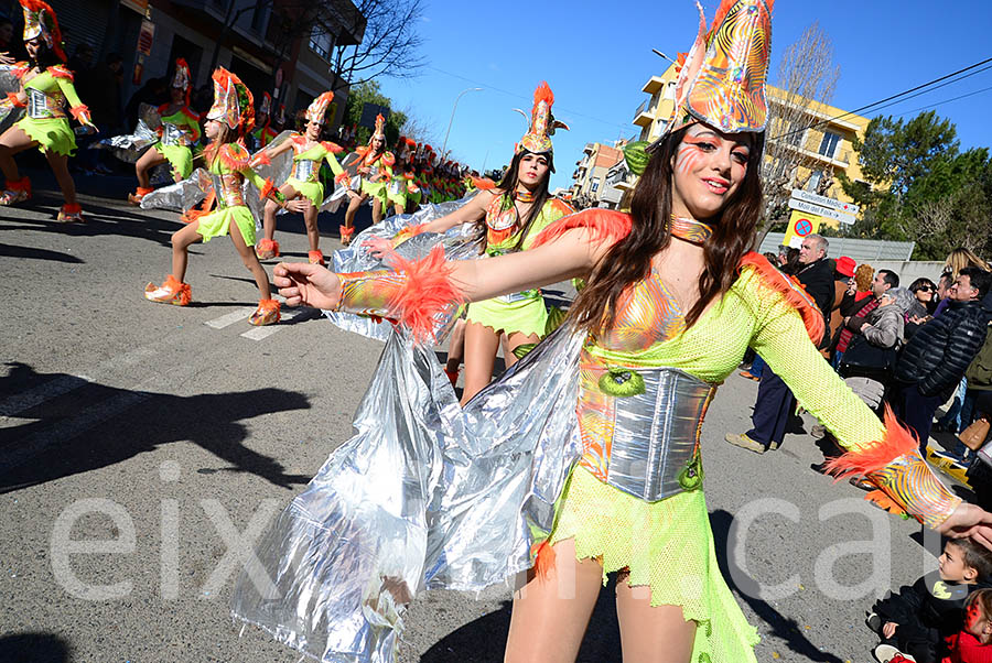 Carnaval de Santa Margarida i els Monjos 2016. Rua del Carnaval de Santa Margarida i els Monjos 2016