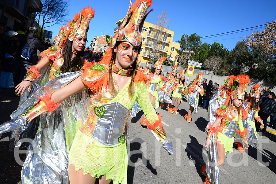 Carnaval de Santa Margarida i els Monjos 2016. Rua del Carnaval de Santa Margarida i els Monjos 2016