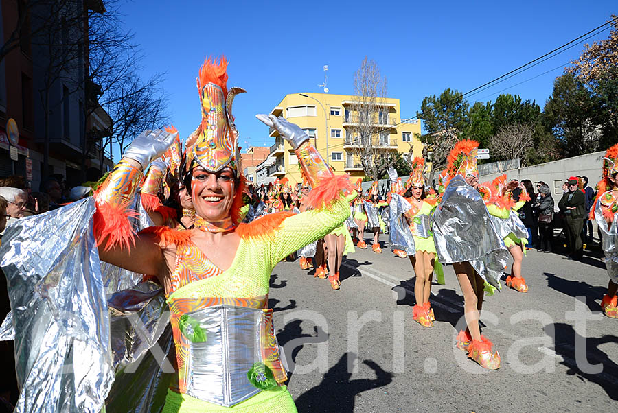 Carnaval de Santa Margarida i els Monjos 2016. Rua del Carnaval de Santa Margarida i els Monjos 2016