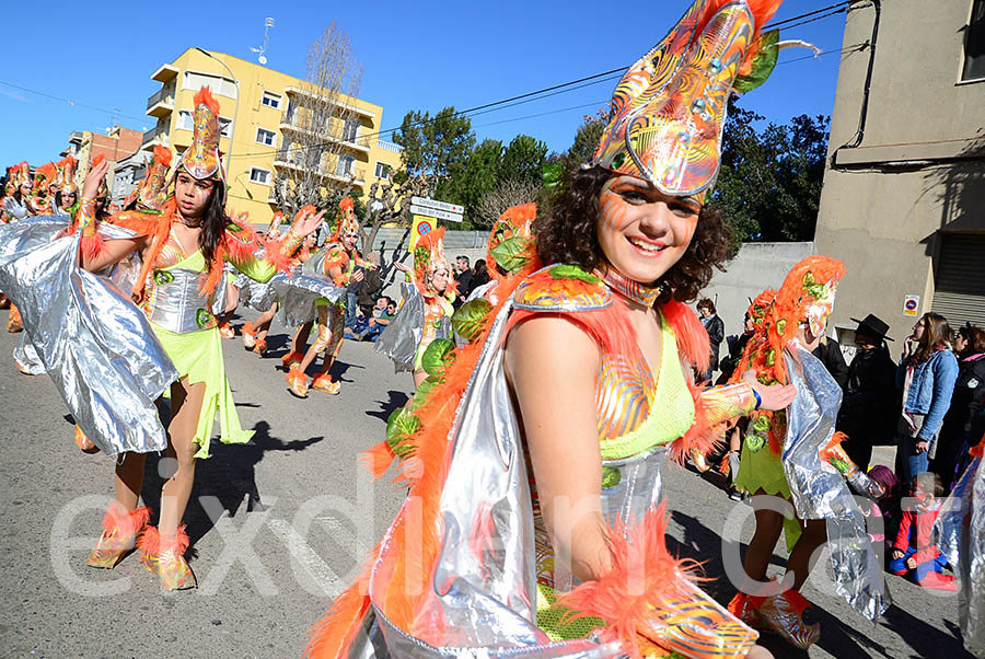 Carnaval de Santa Margarida i els Monjos 2016. Rua del Carnaval de Santa Margarida i els Monjos 2016