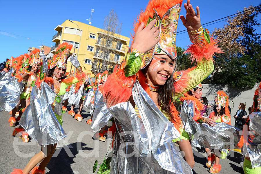 Carnaval de Santa Margarida i els Monjos 2016. Rua del Carnaval de Santa Margarida i els Monjos 2016