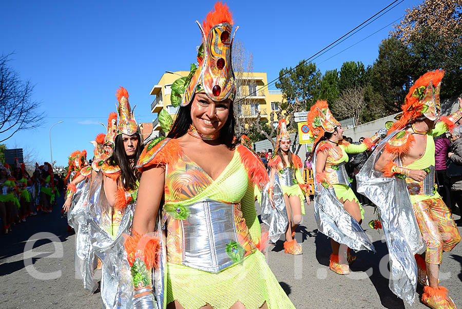 Carnaval de Santa Margarida i els Monjos 2016. Rua del Carnaval de Santa Margarida i els Monjos 2016