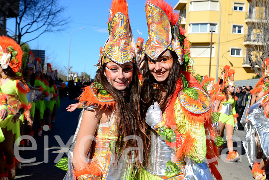 Carnaval de Santa Margarida i els Monjos 2016. Rua del Carnaval de Santa Margarida i els Monjos 2016