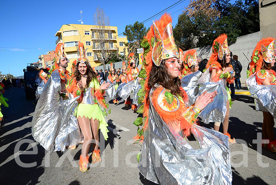 Carnaval de Santa Margarida i els Monjos 2016. Rua del Carnaval de Santa Margarida i els Monjos 2016