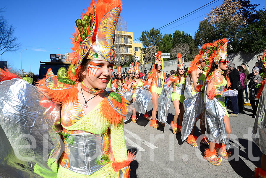 Carnaval de Santa Margarida i els Monjos 2016. Rua del Carnaval de Santa Margarida i els Monjos 2016