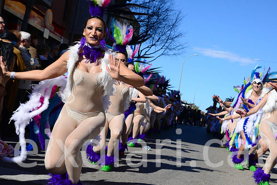 Carnaval de Santa Margarida i els Monjos 2016. Rua del Carnaval de Santa Margarida i els Monjos 2016