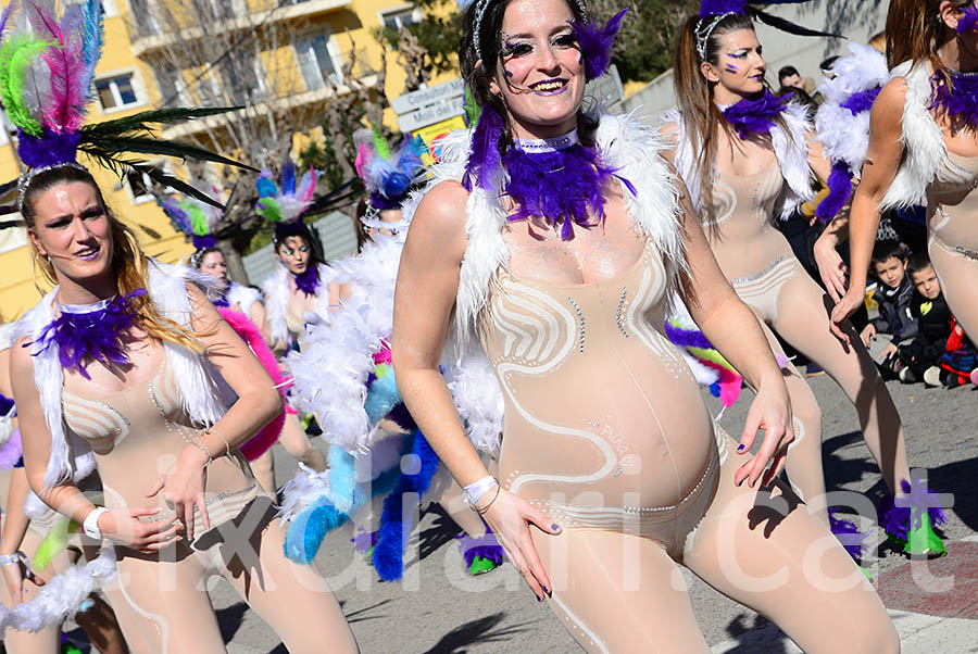 Carnaval de Santa Margarida i els Monjos 2016. Rua del Carnaval de Santa Margarida i els Monjos 2016