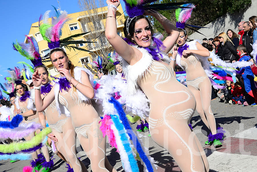 Carnaval de Santa Margarida i els Monjos 2016. Rua del Carnaval de Santa Margarida i els Monjos 2016