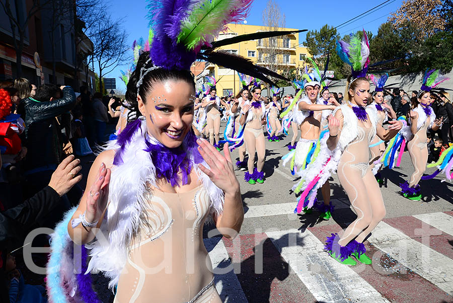 Carnaval de Santa Margarida i els Monjos 2016. Rua del Carnaval de Santa Margarida i els Monjos 2016