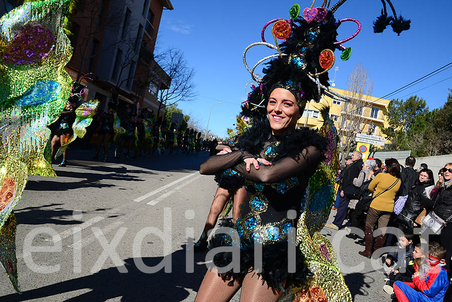 Carnaval de Santa Margarida i els Monjos 2016. Rua del Carnaval de Santa Margarida i els Monjos 2016