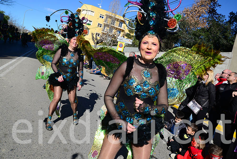 Carnaval de Santa Margarida i els Monjos 2016. Rua del Carnaval de Santa Margarida i els Monjos 2016