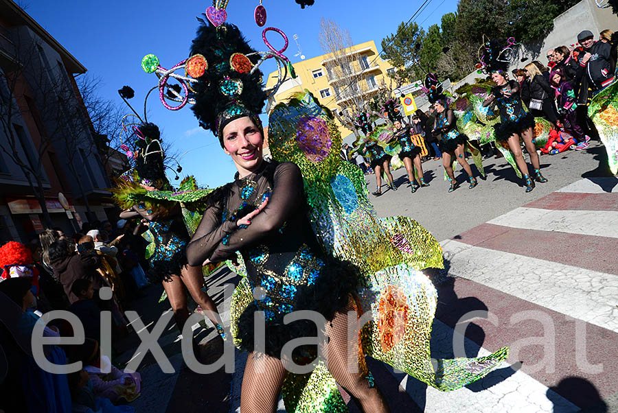 Carnaval de Santa Margarida i els Monjos 2016. Rua del Carnaval de Santa Margarida i els Monjos 2016