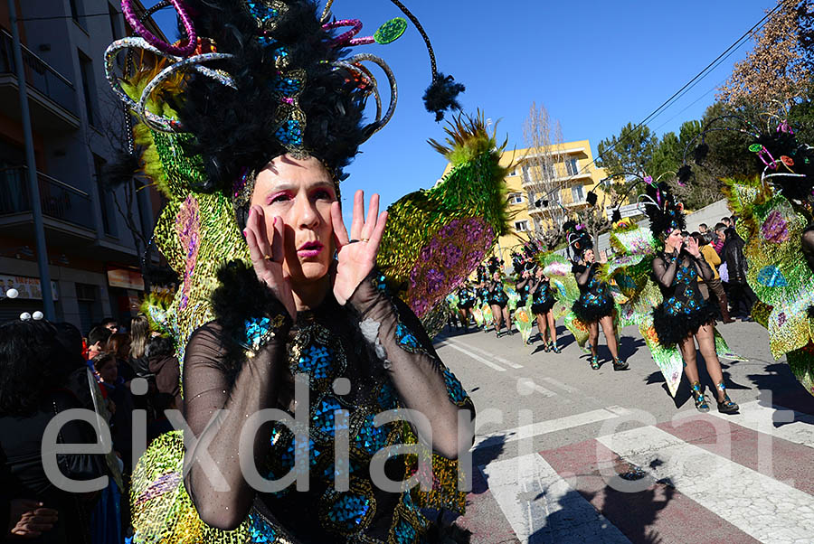 Carnaval de Santa Margarida i els Monjos 2016. Rua del Carnaval de Santa Margarida i els Monjos 2016