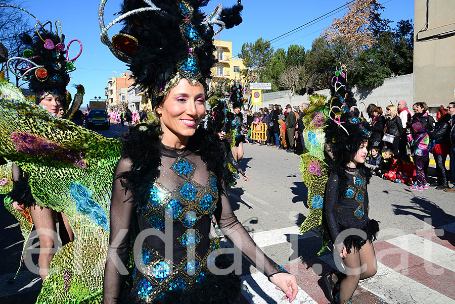 Carnaval de Santa Margarida i els Monjos 2016. Rua del Carnaval de Santa Margarida i els Monjos 2016