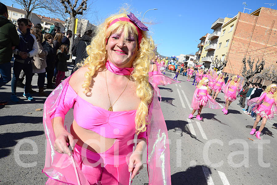 Carnaval de Santa Margarida i els Monjos 2016. Rua del Carnaval de Santa Margarida i els Monjos 2016