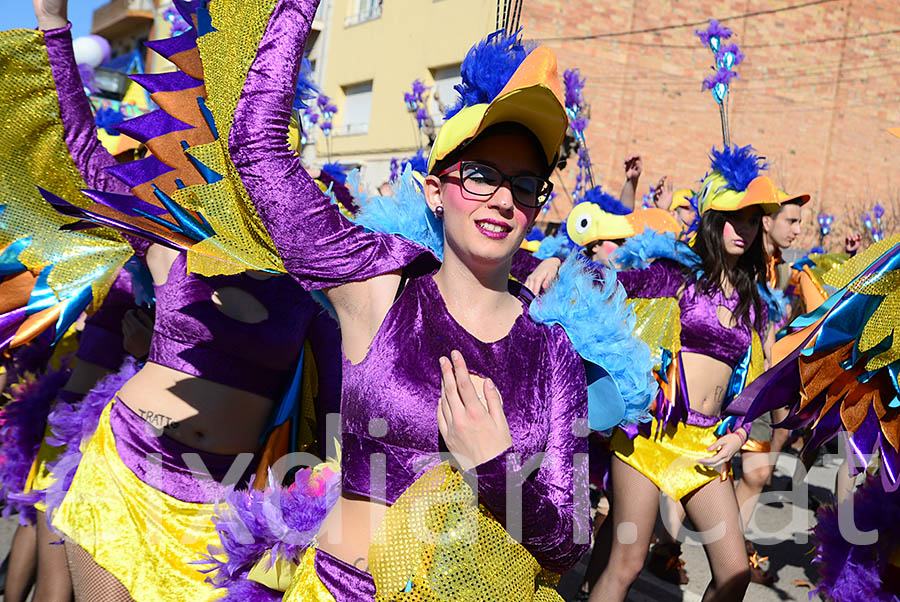 Carnaval de Santa Margarida i els Monjos 2016. Rua del Carnaval de Santa Margarida i els Monjos 2016