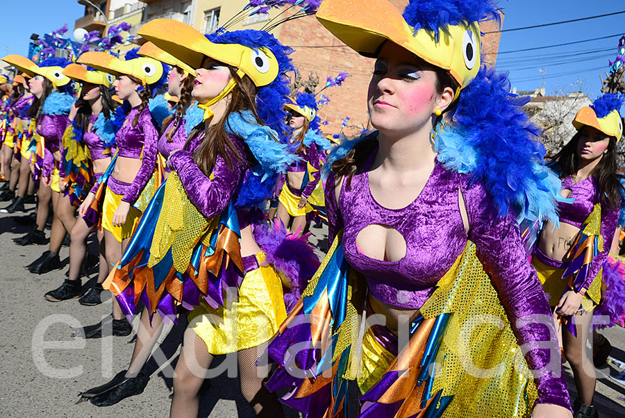 Carnaval de Santa Margarida i els Monjos 2016. Rua del Carnaval de Santa Margarida i els Monjos 2016