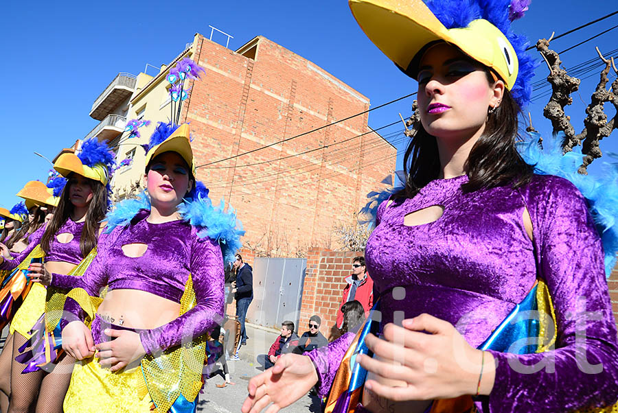 Carnaval de Santa Margarida i els Monjos 2016. Rua del Carnaval de Santa Margarida i els Monjos 2016