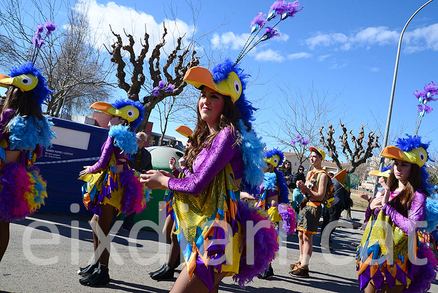 Carnaval de Santa Margarida i els Monjos 2016. Rua del Carnaval de Santa Margarida i els Monjos 2016