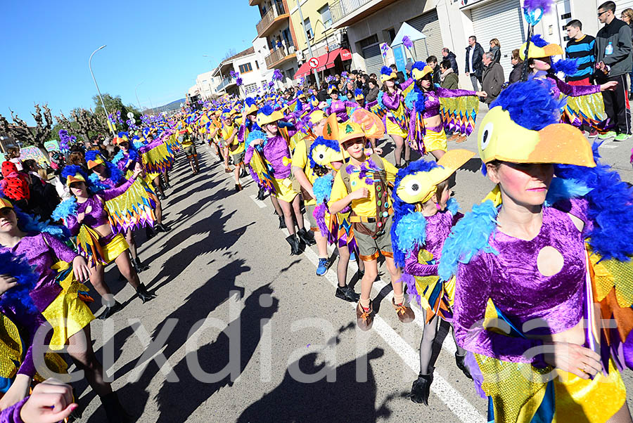 Carnaval de Santa Margarida i els Monjos 2016. Rua del Carnaval de Santa Margarida i els Monjos 2016