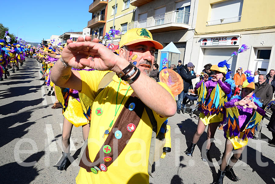 Carnaval de Santa Margarida i els Monjos 2016. Rua del Carnaval de Santa Margarida i els Monjos 2016