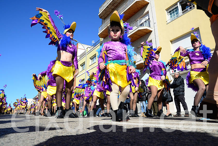 Carnaval de Santa Margarida i els Monjos 2016. Rua del Carnaval de Santa Margarida i els Monjos 2016