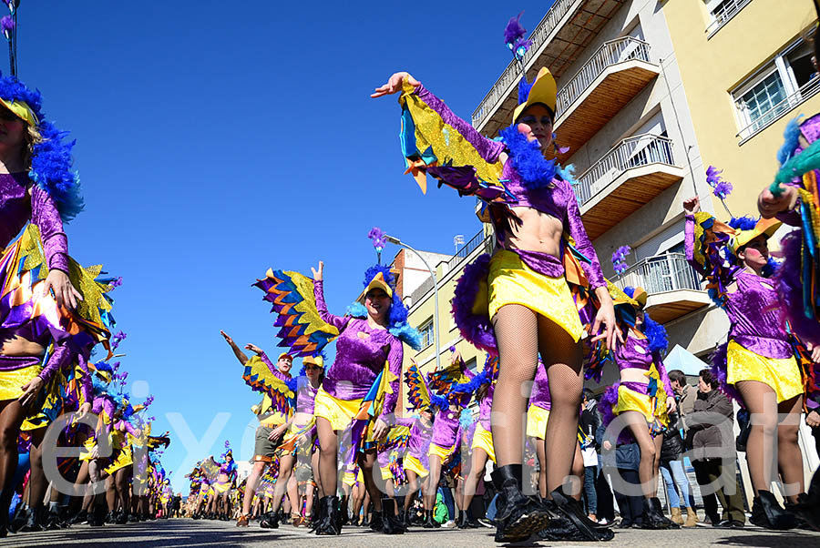 Carnaval de Santa Margarida i els Monjos 2016. Rua del Carnaval de Santa Margarida i els Monjos 2016