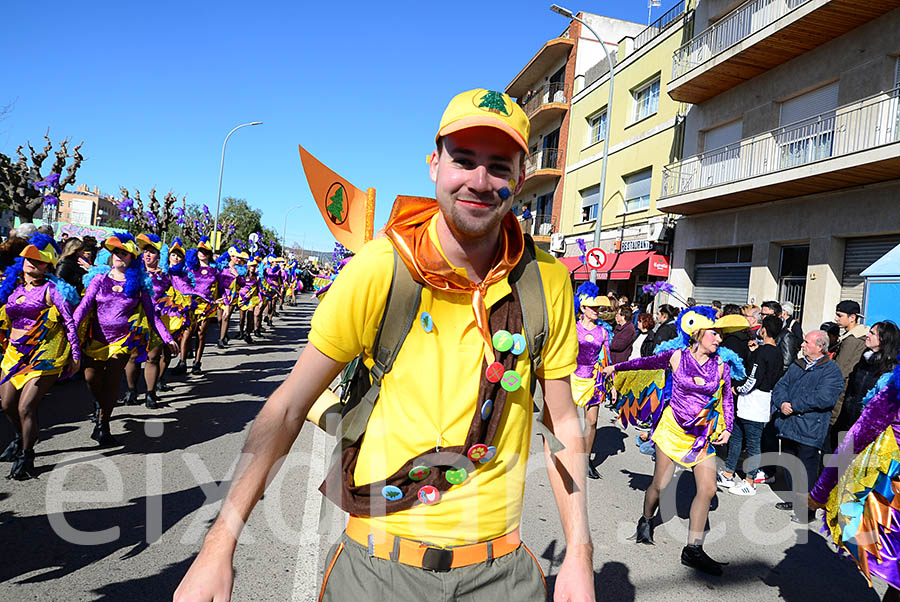 Carnaval de Santa Margarida i els Monjos 2016. Rua del Carnaval de Santa Margarida i els Monjos 2016