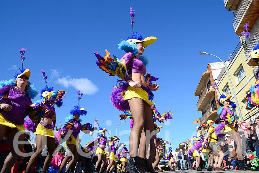 Carnaval de Santa Margarida i els Monjos 2016. Rua del Carnaval de Santa Margarida i els Monjos 2016