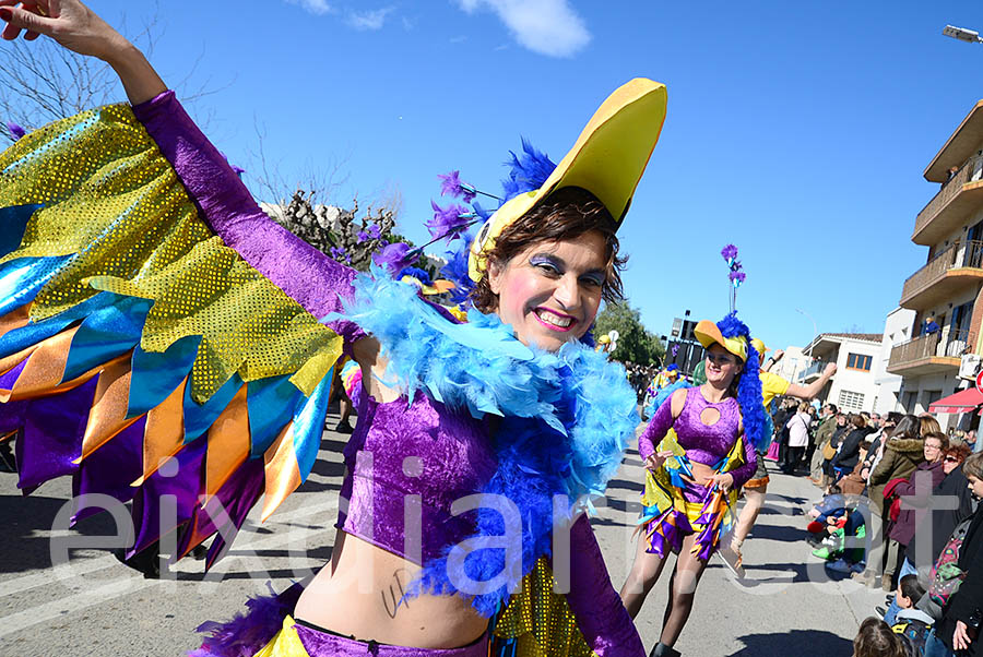 Carnaval de Santa Margarida i els Monjos 2016. Rua del Carnaval de Santa Margarida i els Monjos 2016