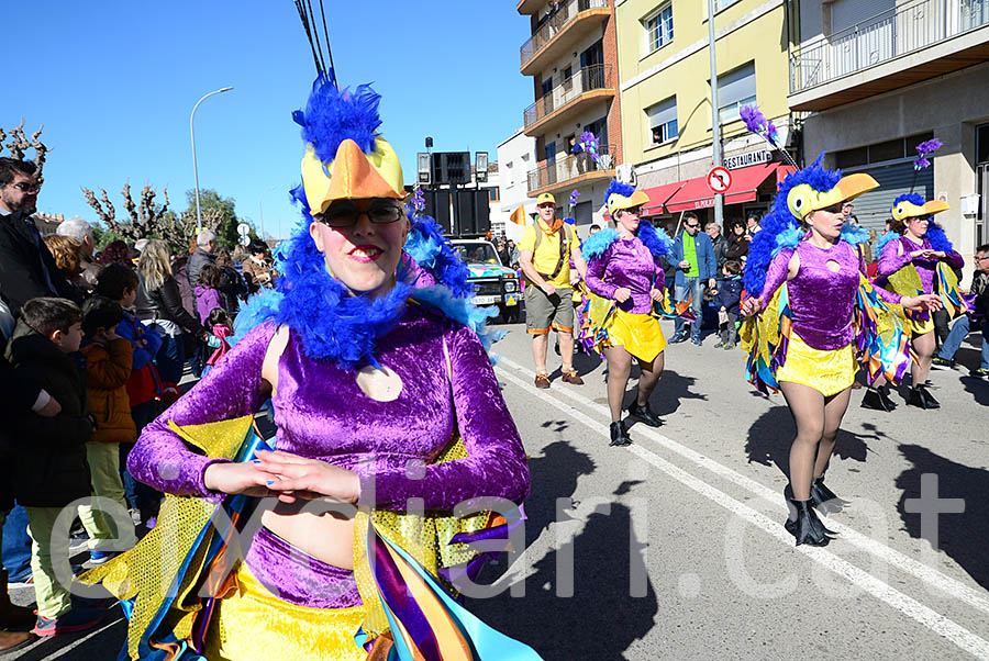 Carnaval de Santa Margarida i els Monjos 2016. Rua del Carnaval de Santa Margarida i els Monjos 2016