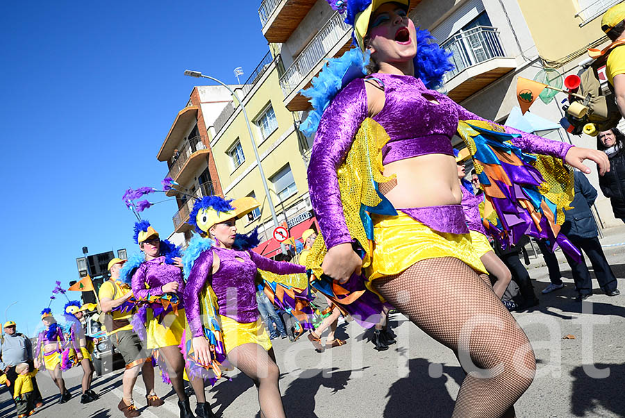 Carnaval de Santa Margarida i els Monjos 2016. Rua del Carnaval de Santa Margarida i els Monjos 2016