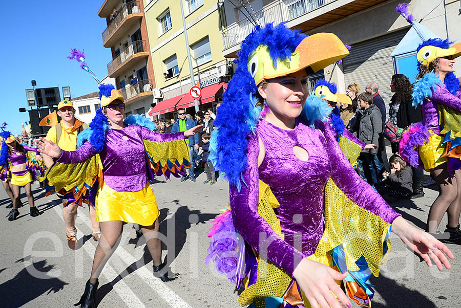 Carnaval de Santa Margarida i els Monjos 2016. Rua del Carnaval de Santa Margarida i els Monjos 2016