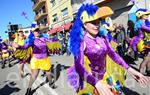 Carnaval de Santa Margarida i els Monjos 2016