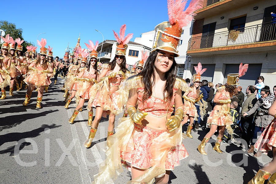 Carnaval de Santa Margarida i els Monjos 2016. Rua del Carnaval de Santa Margarida i els Monjos 2016