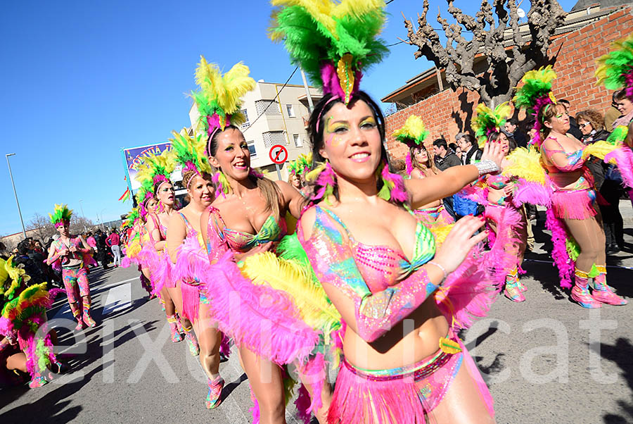 Carnaval de Santa Margarida i els Monjos 2016. Rua del Carnaval de Santa Margarida i els Monjos 2016