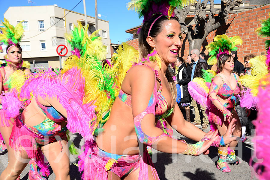 Carnaval de Santa Margarida i els Monjos 2016. Rua del Carnaval de Santa Margarida i els Monjos 2016